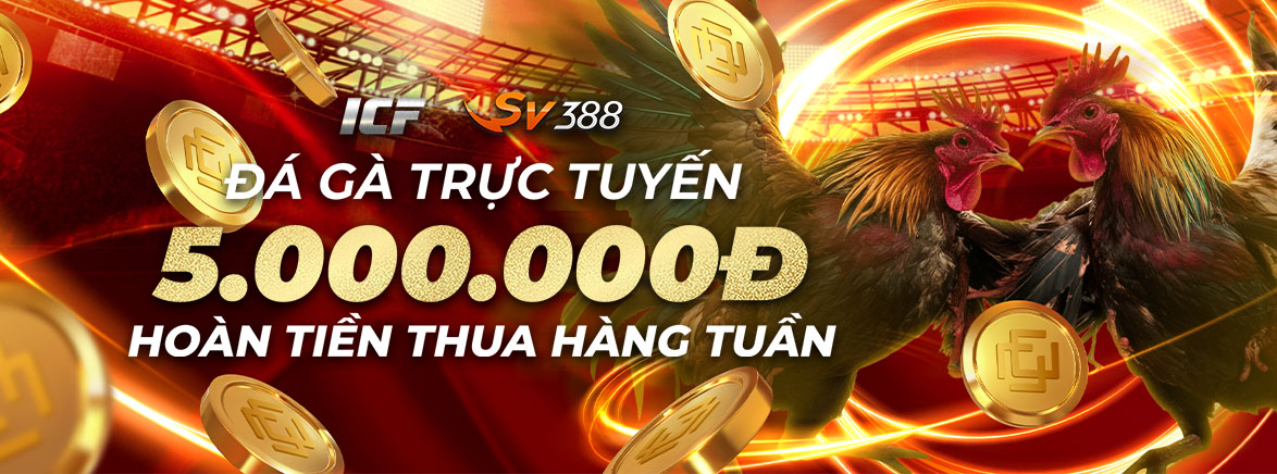 Hoàn tiền hàng tuần – Đá Gà: 3.88% lên đến 5.000.000 VND