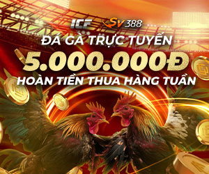 Hoàn tiền hàng tuần – Đá Gà: 3.88% lên đến 5.000.000 VND